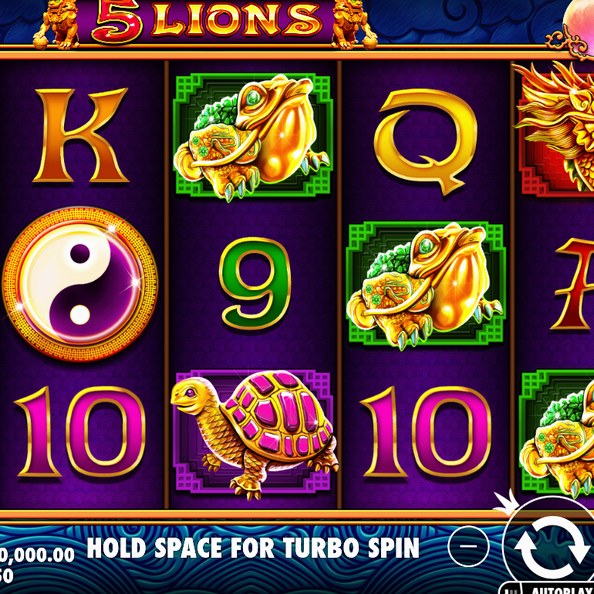 5 Lions